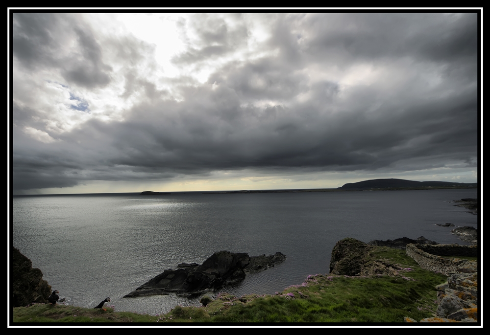 Scotland 2012   1774   Y   ygi 3729 s